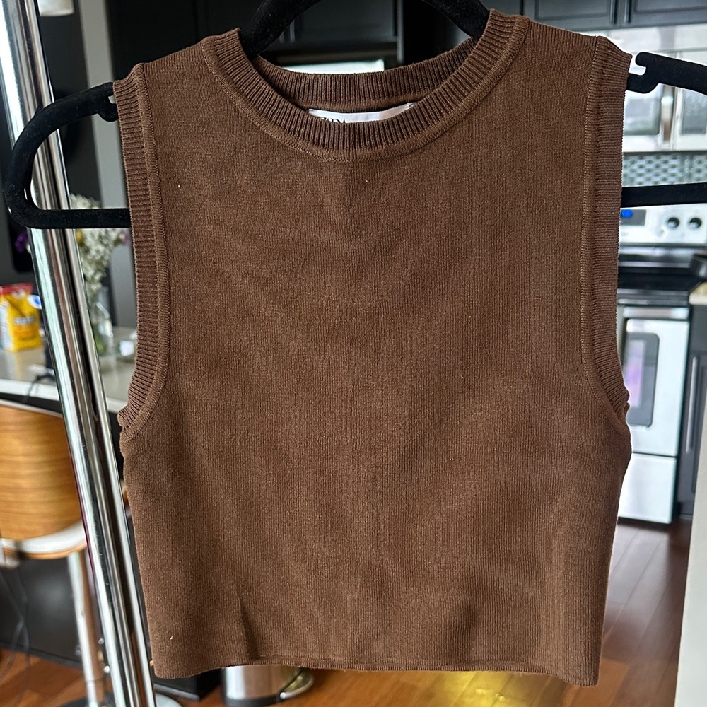 Zara Brown Crop Top